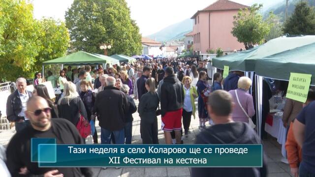Тази неделя в село Коларово ще се проведе XII Фестивал на кестена