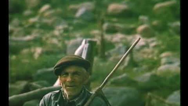 Чуйпетлово 1977 г.