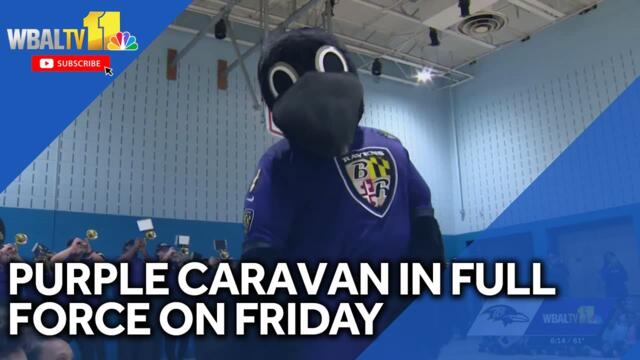 Purple Friday in full swing ahead of home game