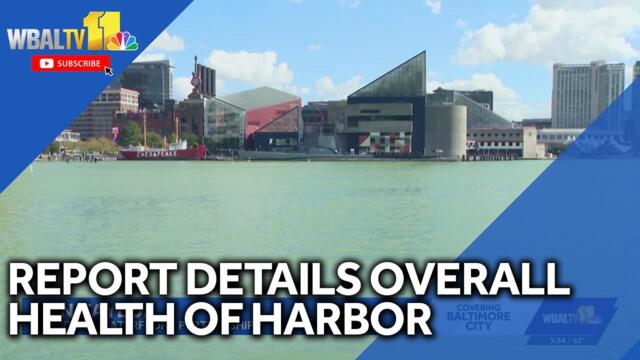 Report details overall health of Baltimore's harbor