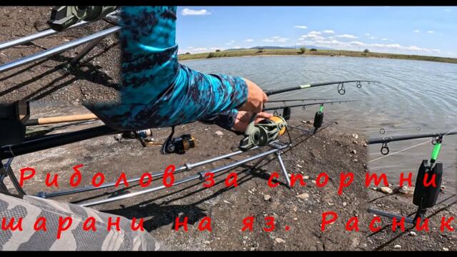 Риболов за спортни шарани на яз. Расник. Печелившите захранки, примамки, монтажи и тактики.