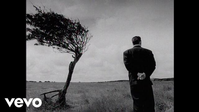 Black - Wonderful Life