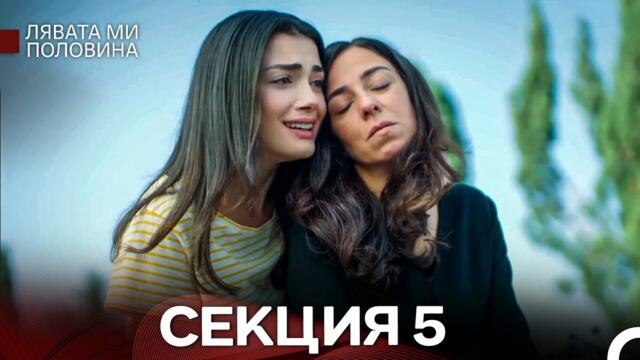 Лявата ми половина 5 Секция (Български Дублаж)