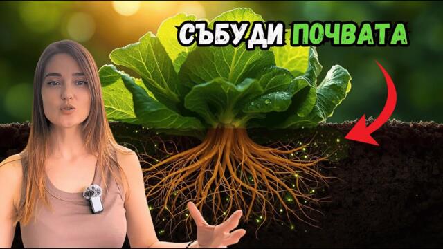 Тайната за ПОВЕЧЕ почвени микроби и супер ЗДРАВИ растения