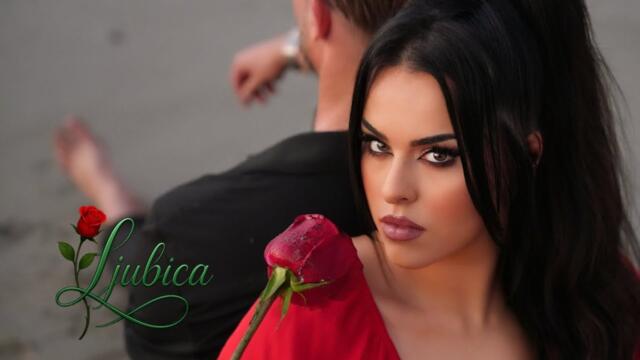 Ljubica Barjaktarević - Od tebe ništa nije ostalo ( Official video )