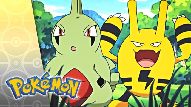 Here's Lookin' at You, Elekid | POKÉMON FULL EPISODE 51 | Season 5