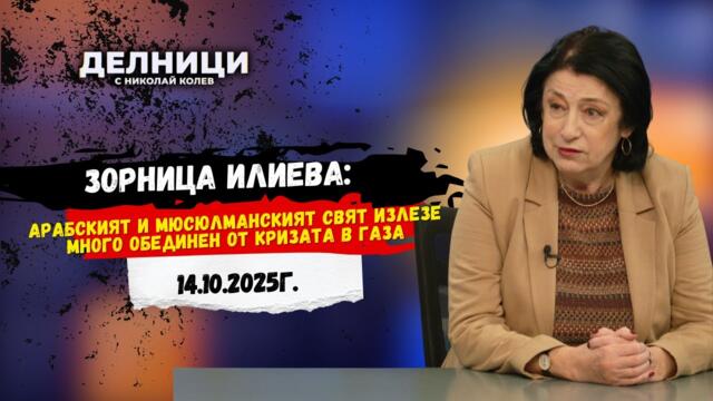 Зорница Илиева: Арабският и мюсюлманският свят излезе много обединен от кризата в Газа