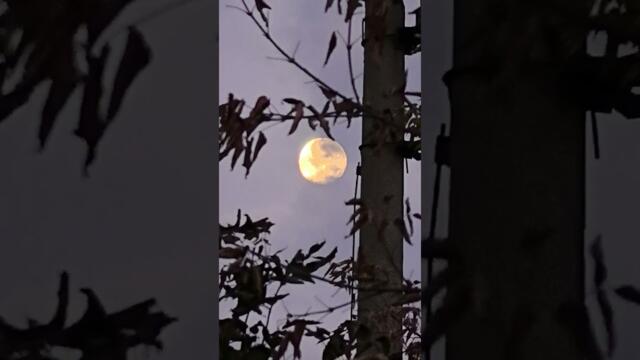 полноЛуние 🥰