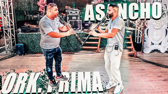 ORK PRIMA 2025 - ASANCHO KOCEK