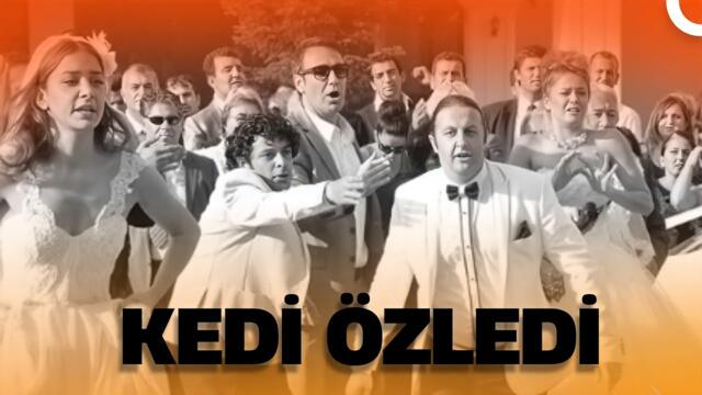Kedi Özledi | Romantik Komedi Filmi
