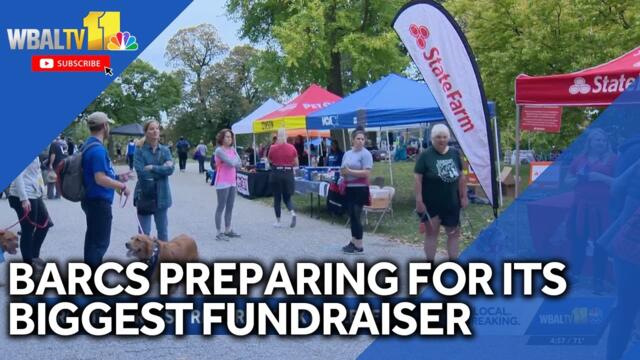 BARCS preparing for its biggest fundraiser of the year