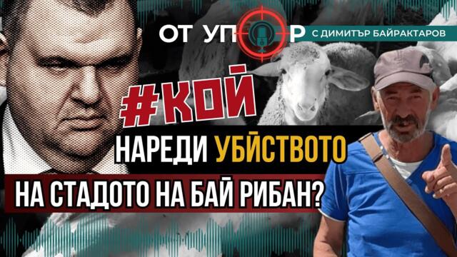 ИЗВЪНРЕДНО: #КОЙ нареди убийството на стадото на Бай Рибан?