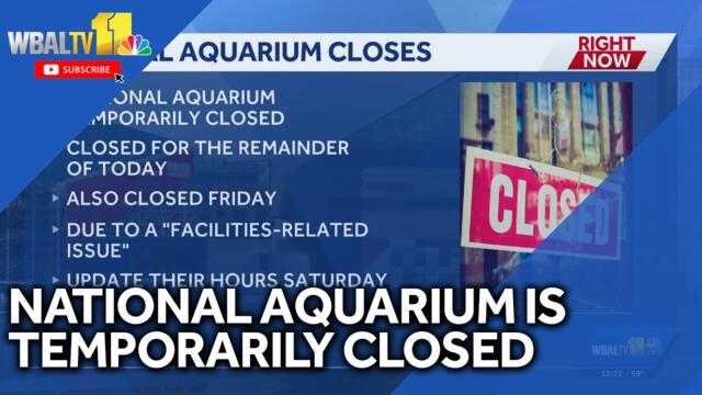 National Aquarium temporarily closed due to electrical outage