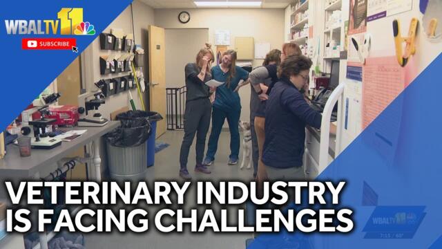 Vet industry facing numerous challenges in Maryland