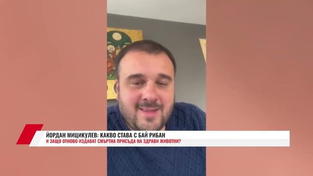 ЙОРДАН МИЦИКУЛЕВ: КАКВО СТАВА С БАЙ РИБАН И ЗАЩО ОТНОВО ИЗДАВАТ СМЪРТНА ПРИСЪДА НА ЗДРАВИ ЖИВОТНИ?