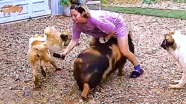 Mistakes Caught on Camera | Best Fails of the Week