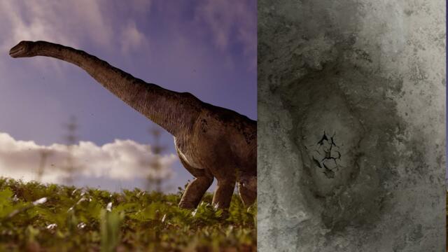 160 Million-Year-Old Dinosaur Footprints Uncovered In England