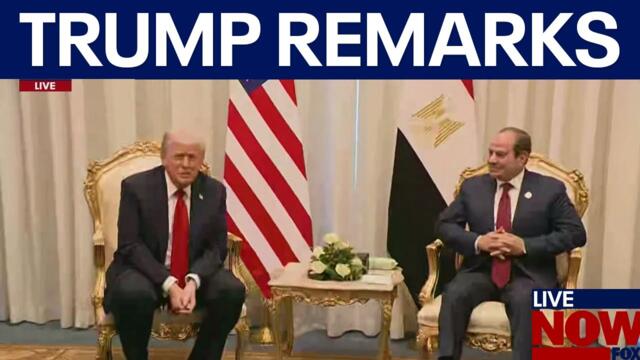 President Trump meets with Egypt's leader
