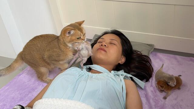 The mother cat always brings her kittens to me wherever I sleep, which is really heartwarming!