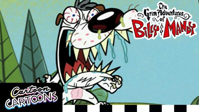 Mandy's Dog | Grim Adventures Of Billy And Mandy | Cartoons Cartoons