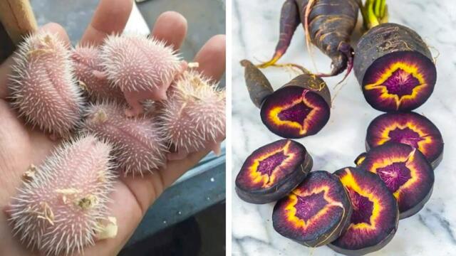 Фото, что заставят пересмотреть дважды