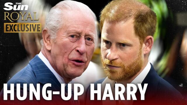 Harry MUST move on - his endless whinging over security risks ruining reconciliation with King