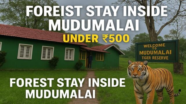 Mudumalai Tiger Reserve | Sylvan Dormitory | Jeep Safari | Budget Friendly stay | English subtitles