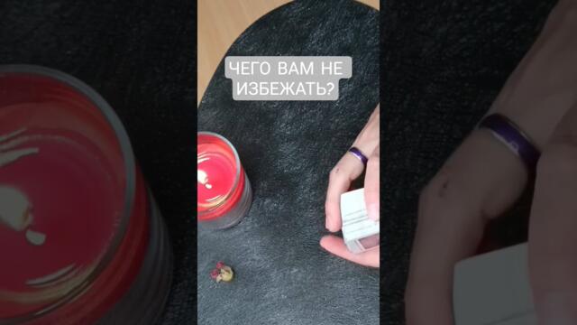 Тебя благодарит Вселенная🪷🦋 💫 #раскладтаро #полнолуние #оракул #онлайнгадание #рек #таро #таролог