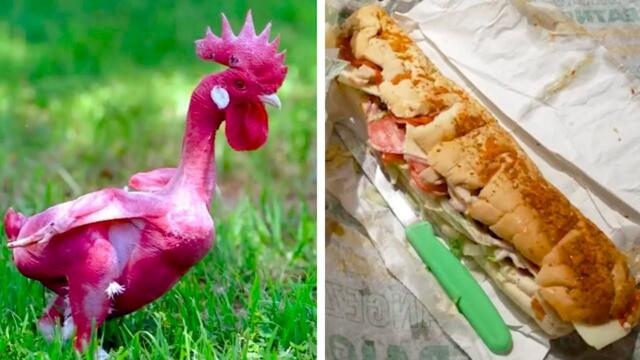 Снимки, которые невозможно объяснить