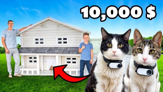 WE BUILT A $10,000 DREAM CAT HOUSE!