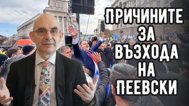 Причините за възхода на Пеевски - Петър Волгин