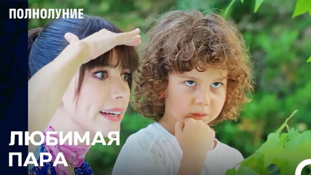 Лучшие партнёры - Полнолуние