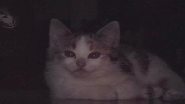 will you remember me?