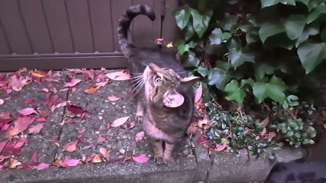 Bis morgen zum Livestream