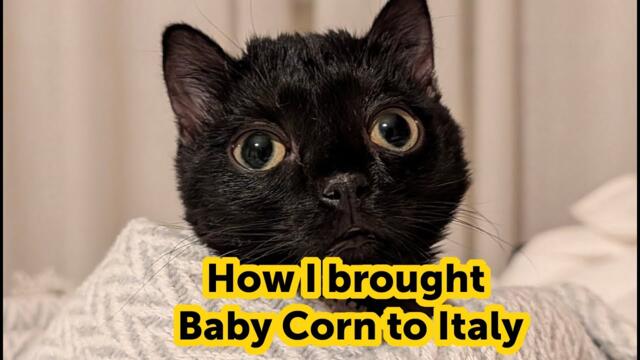 How I Brought Baby Corn to Italy