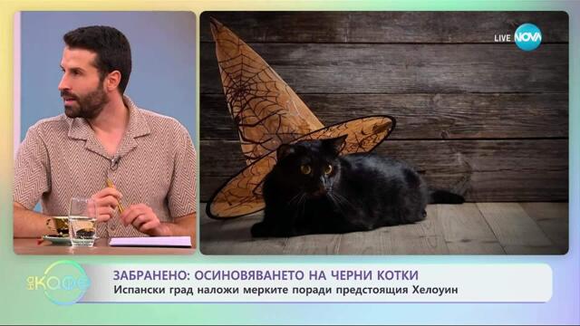 Испански град забрани осиновяването на черни котки - „На кафе“ (20.10.2025)