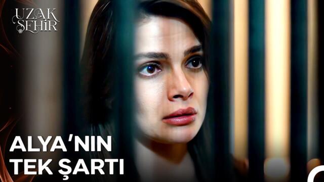 Alya'nın Yolu Hak, Hukuk ve Vicdandan Geçer - Uzak Şehir 34. Bölüm