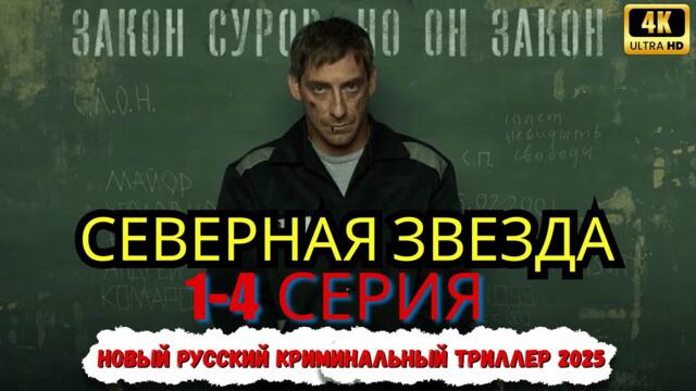 Северная звезда 1-5 серия (2025) НОВЫыйРУССКИЙ БОЕВИК 2025 | ДЕТЕКТИВ 2025ГОДА РУССКИЙ БОЕВИК