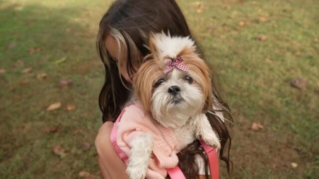 Family Reunites With Their Beloved Missing Dog, Princess