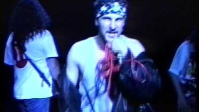 Хиподил - Хиподили