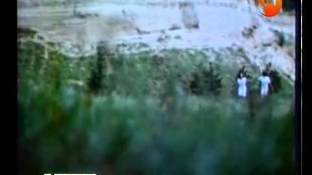 Щурците - Две следи (1980)