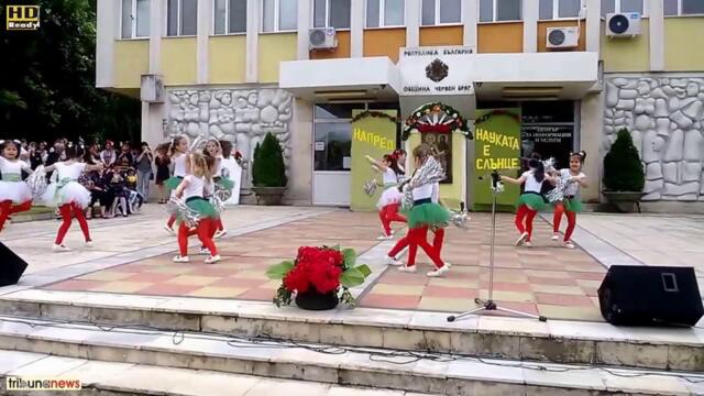 24 май - Малките пантери