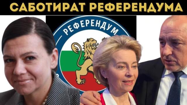 СОНЯ МОМЧИЛОВА: ЕТО КОИ КМЕТОВЕ ЩЕ СЪДИМ!