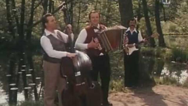 Dobrepoljski fantje in Franc Flere - Želja