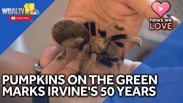 Pumpkins on the Green supports nature conservation