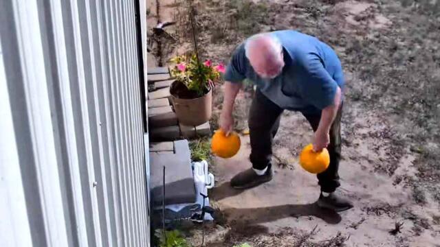 Porch Pirate Caught Swiping Pumpkins From Family Home