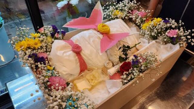 RIP 22 Cerebellar Palsy Cat named Mirae 뇌성마비 고양이 미래