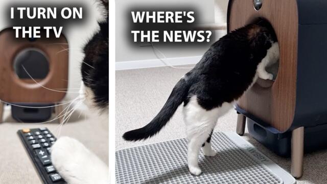 He Thought It Was a TV