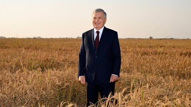 Президент Мирзиёев ознакомился с деятельностью рисового кластера “TCT Rice”