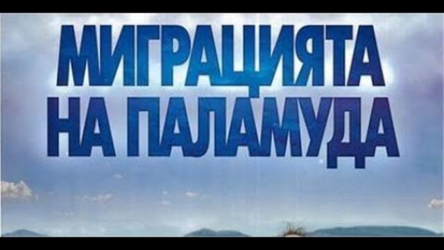 МИГРАЦИЯТА НА ПАЛАМУДА  - БГ ФИЛМ -  2011 г